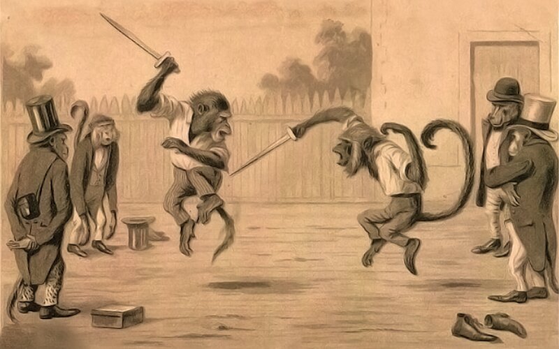 Monkeys in Top Hats