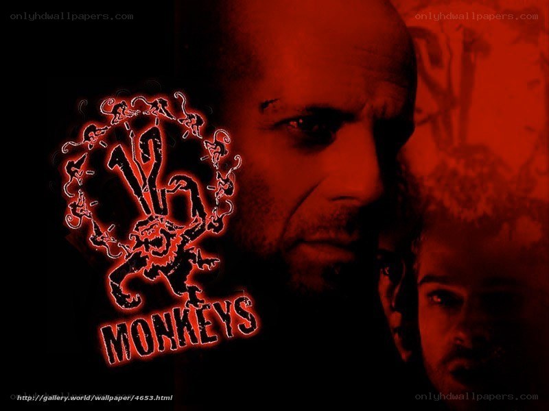 Monkeys movie poster