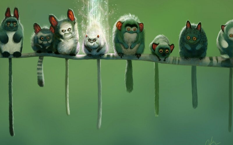 monkeys on a branch