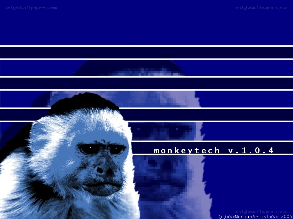 MonkeyTech v1.0.4 splash screen