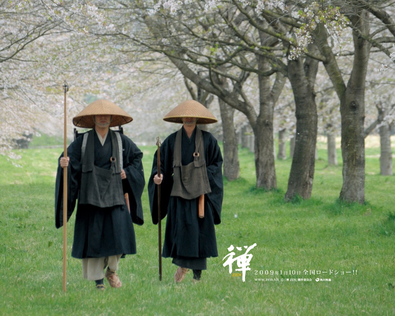 Monks in a cherry blossom grove