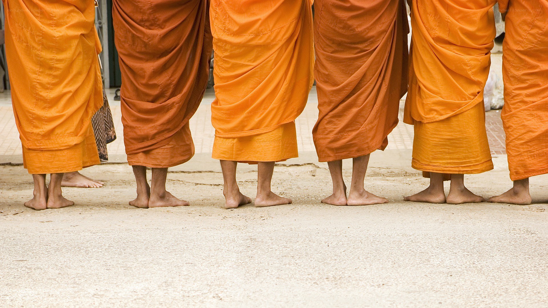 monks in orange robes