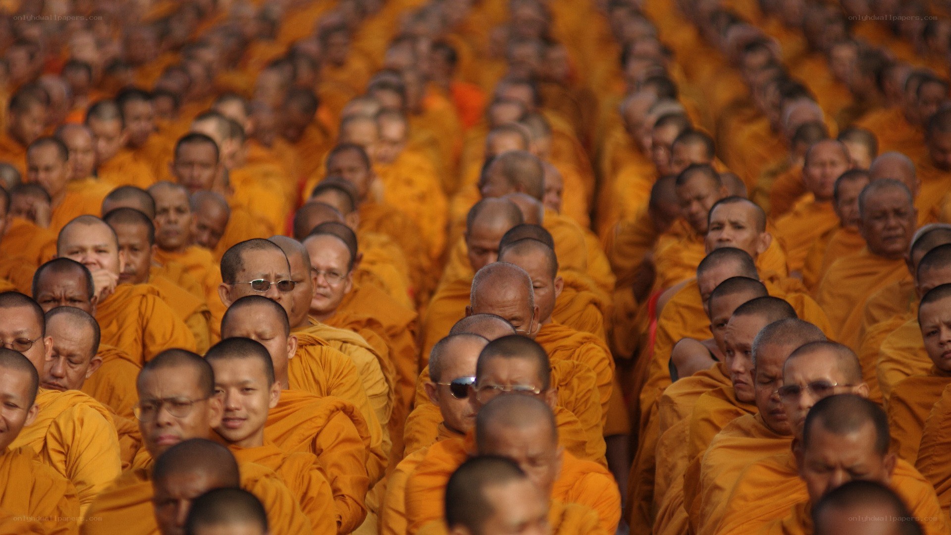 Monks in orange robes