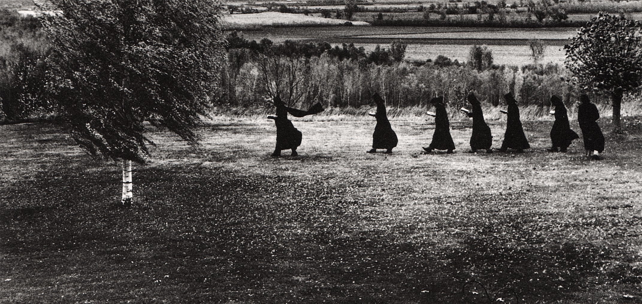 Monks walking in a field