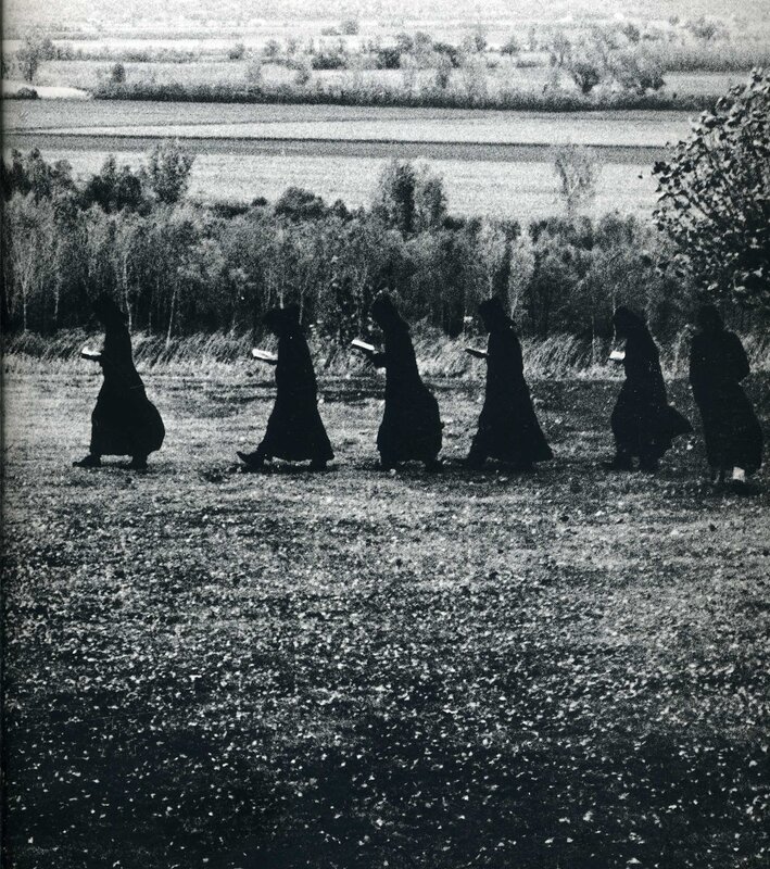 Monks walking in a field