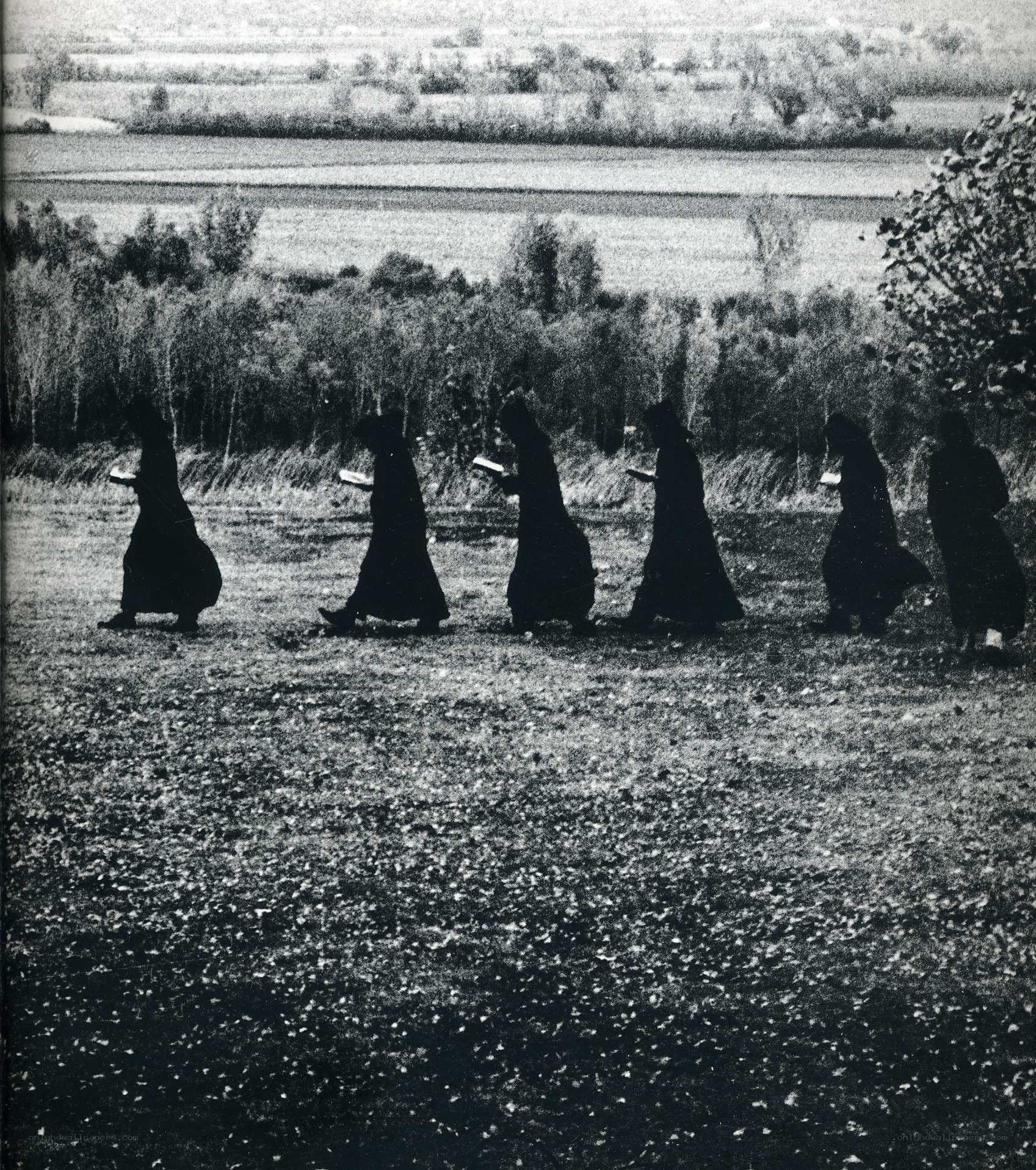 Monks walking in a field