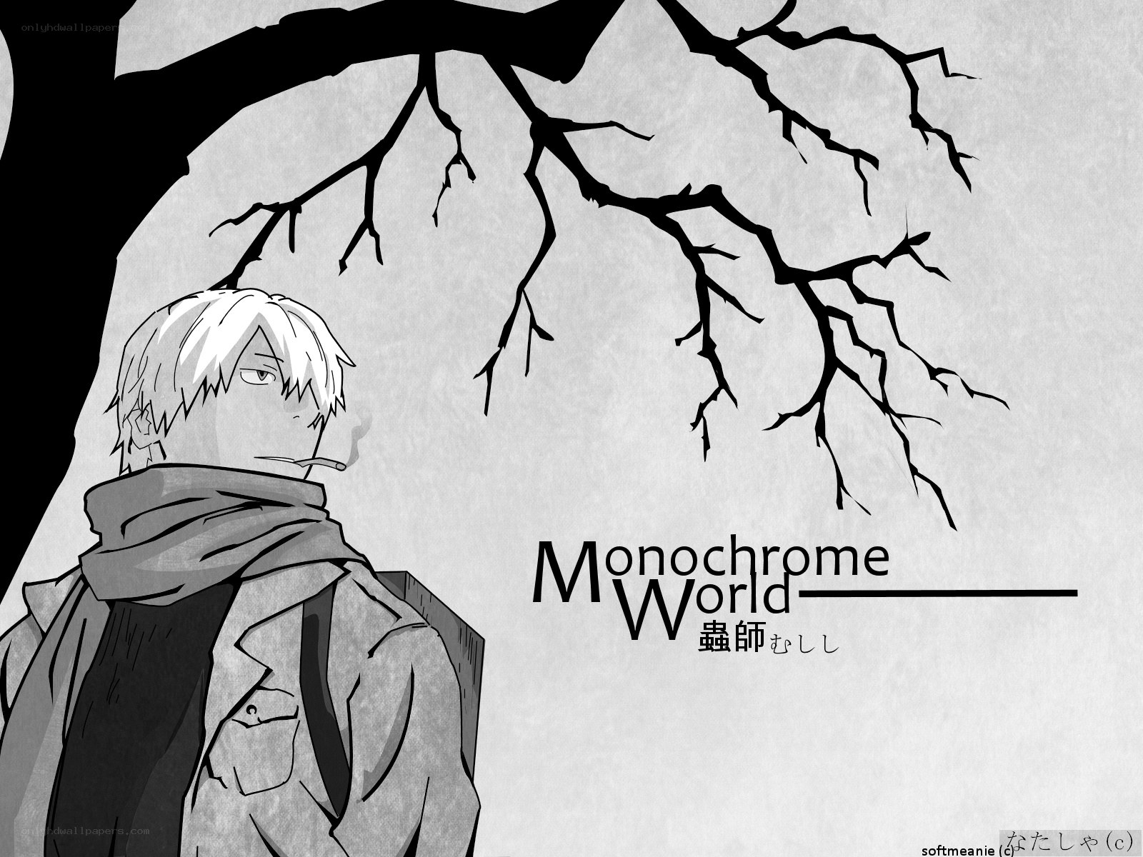 Monochrome World artwork