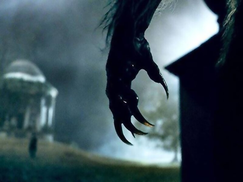 Monster Claw in Fog
