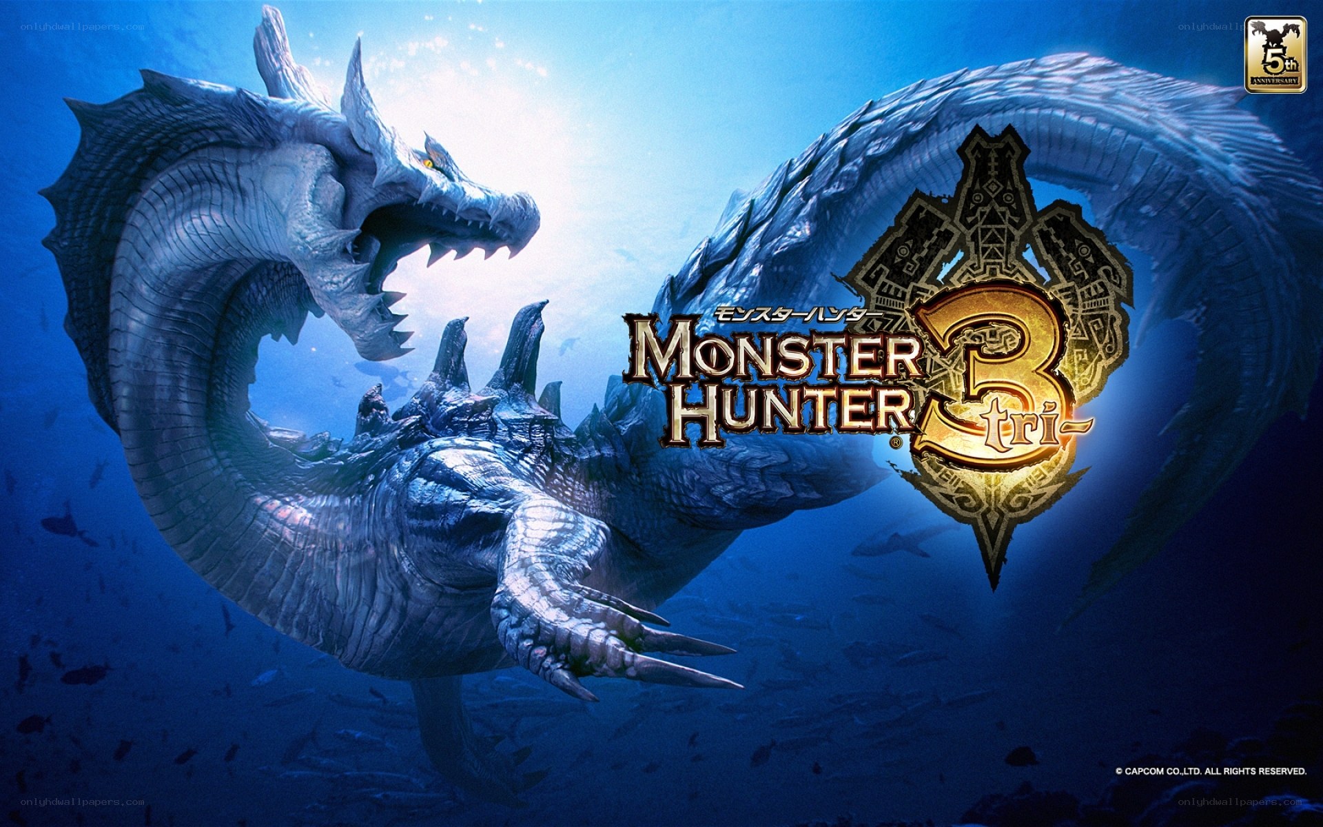 Monster Hunter 3 Tri artwork