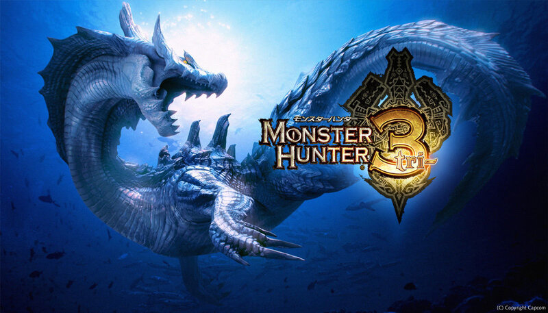 Monster Hunter 3 Tri artwork