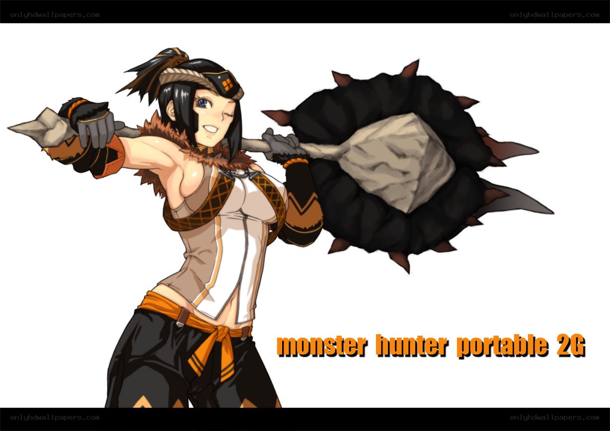 Monster Hunter character art
