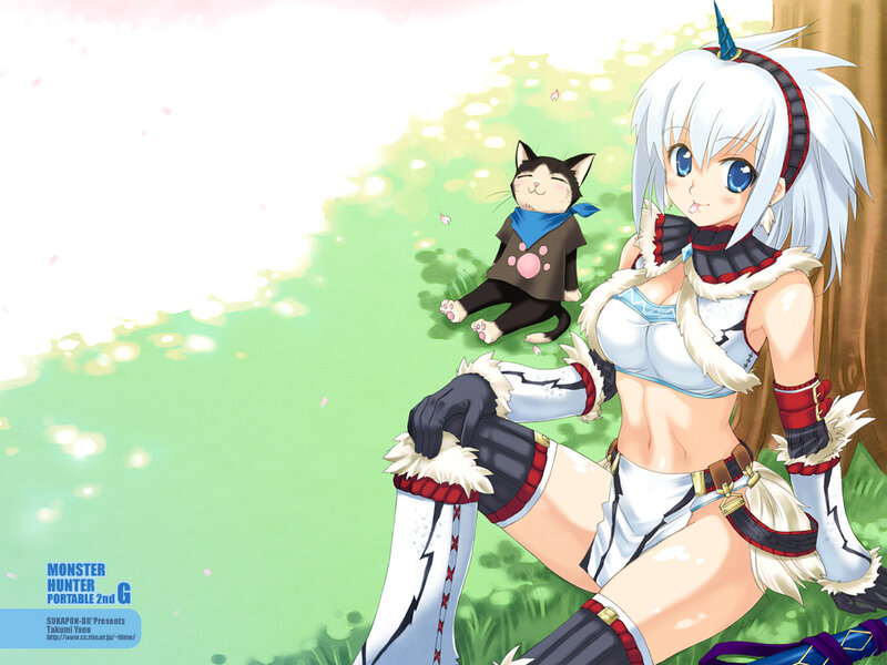 Monster Hunter character with cat companion