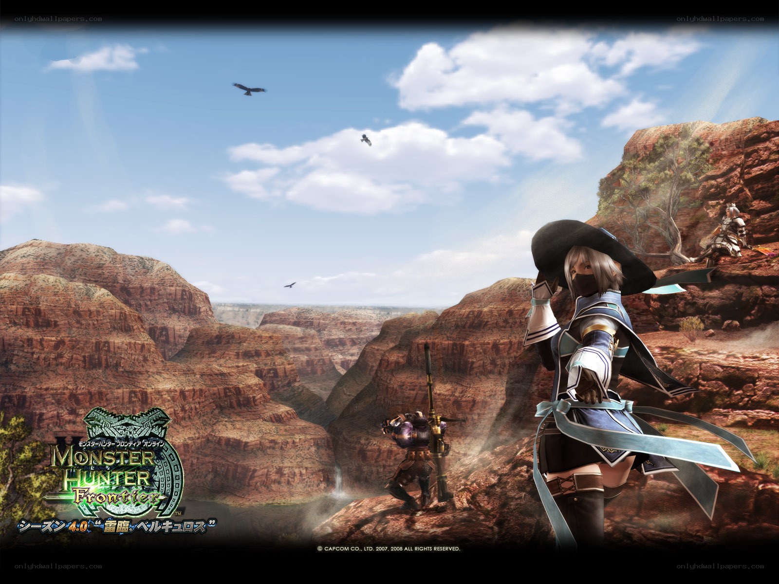 Monster Hunter Frontier artwork