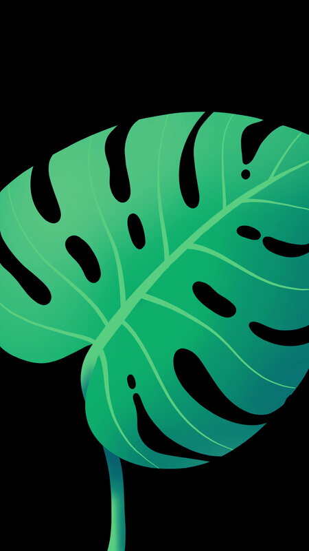 Monstera Leaf