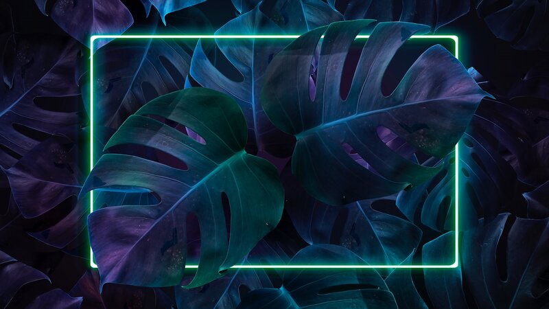 Monstera Leaves with Neon Frame — Green