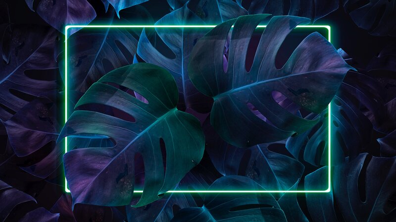 Monstera Leaves with Neon Frame
