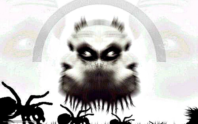 monstrous spider creature