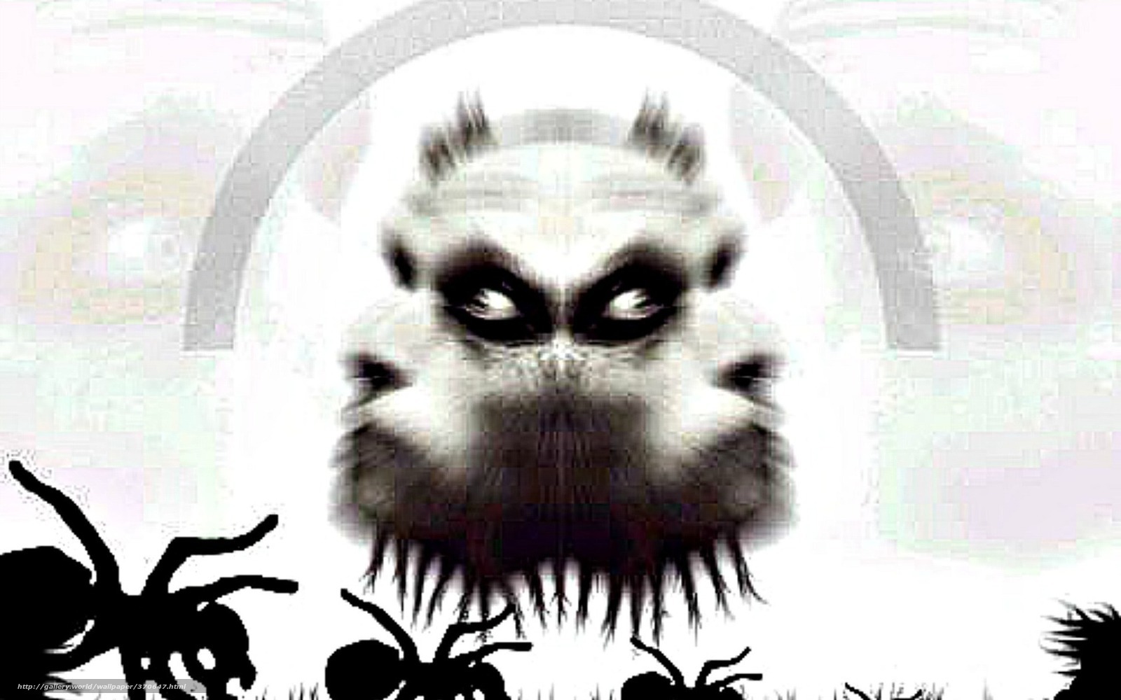 monstrous spider creature