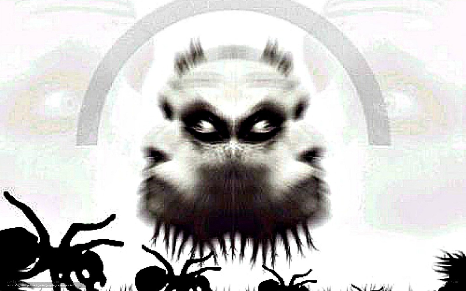 monstrous spider creature