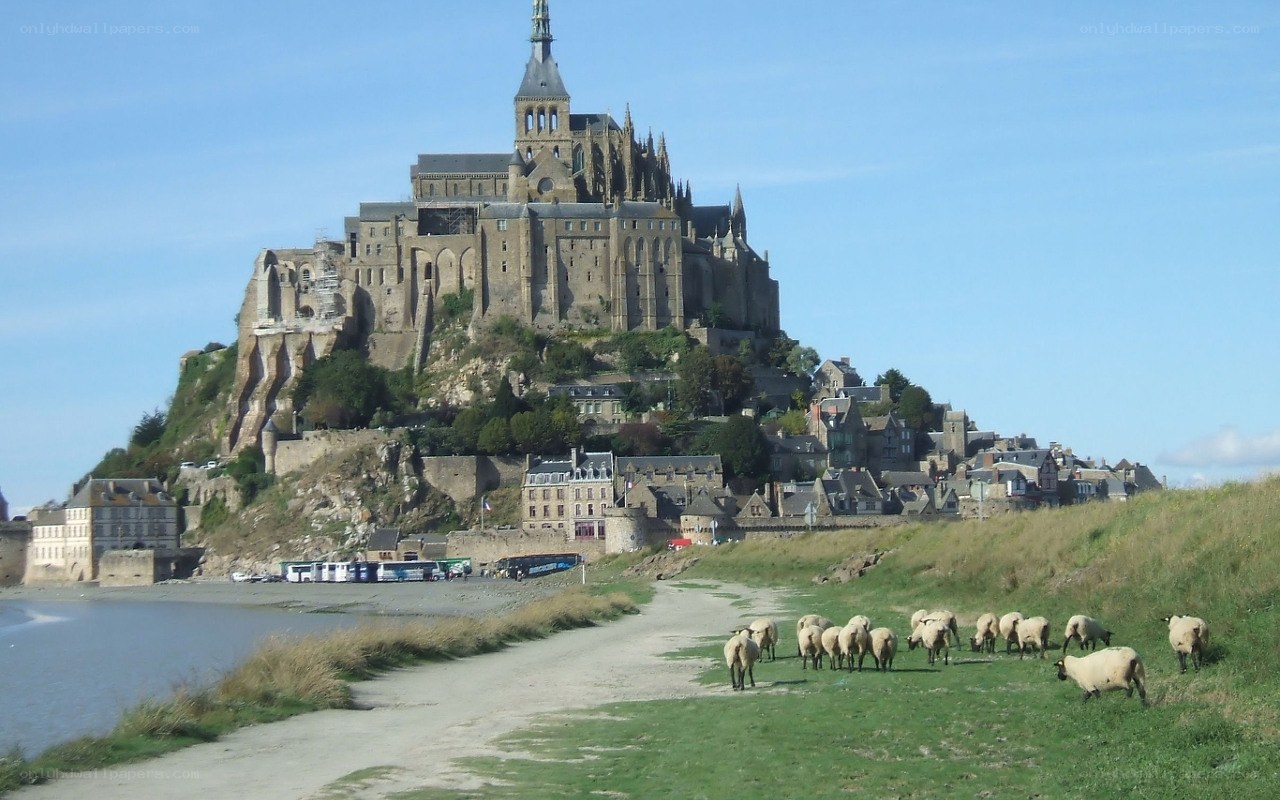 Mont Saint-Michel with sheep