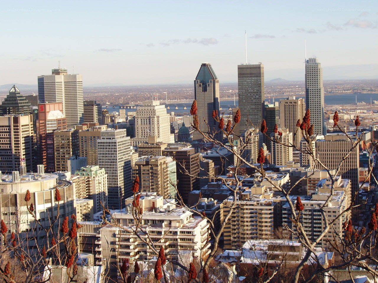 Montreal city skyline view