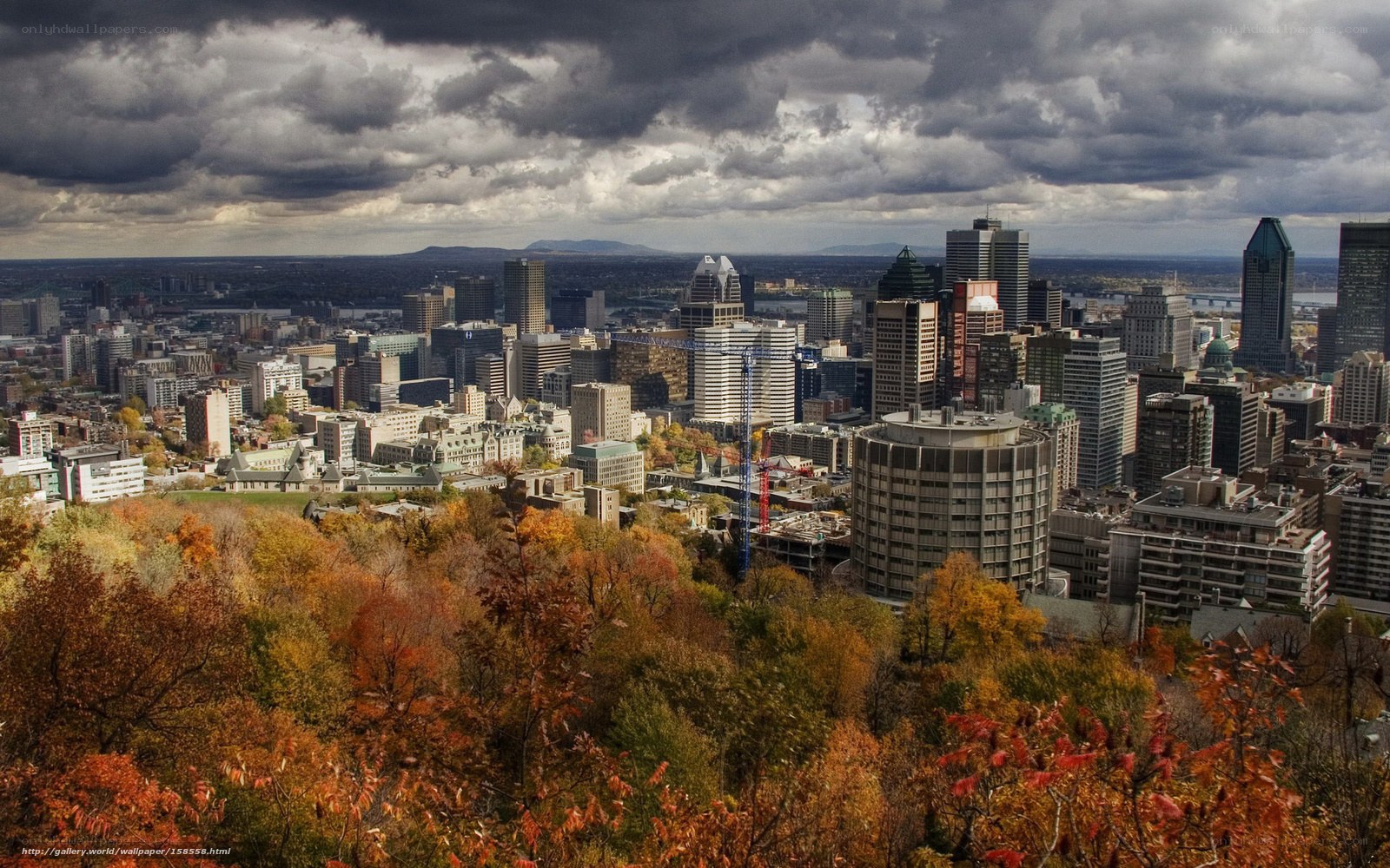 Montreal cityscape in autumn