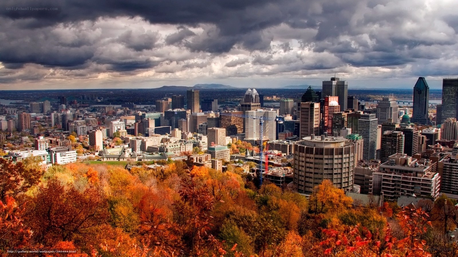 Montreal cityscape in autumn