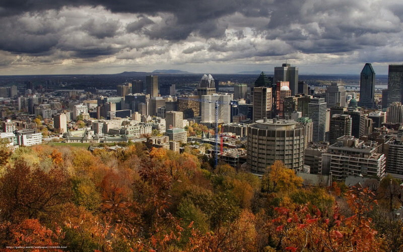 Montreal Cityscape — Orange, Dramatic, Autumn