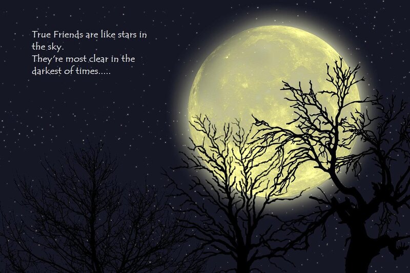 Moon and Bare Trees