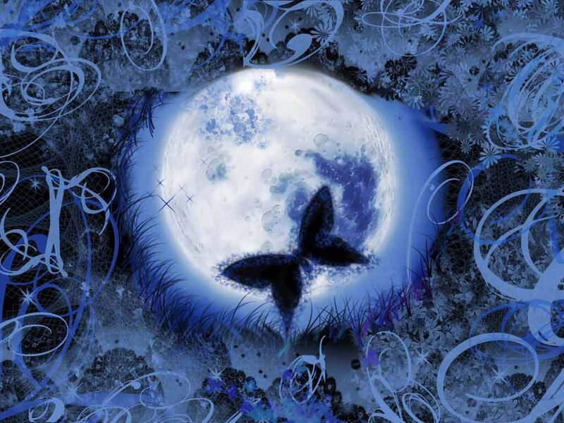 moon and butterfly art