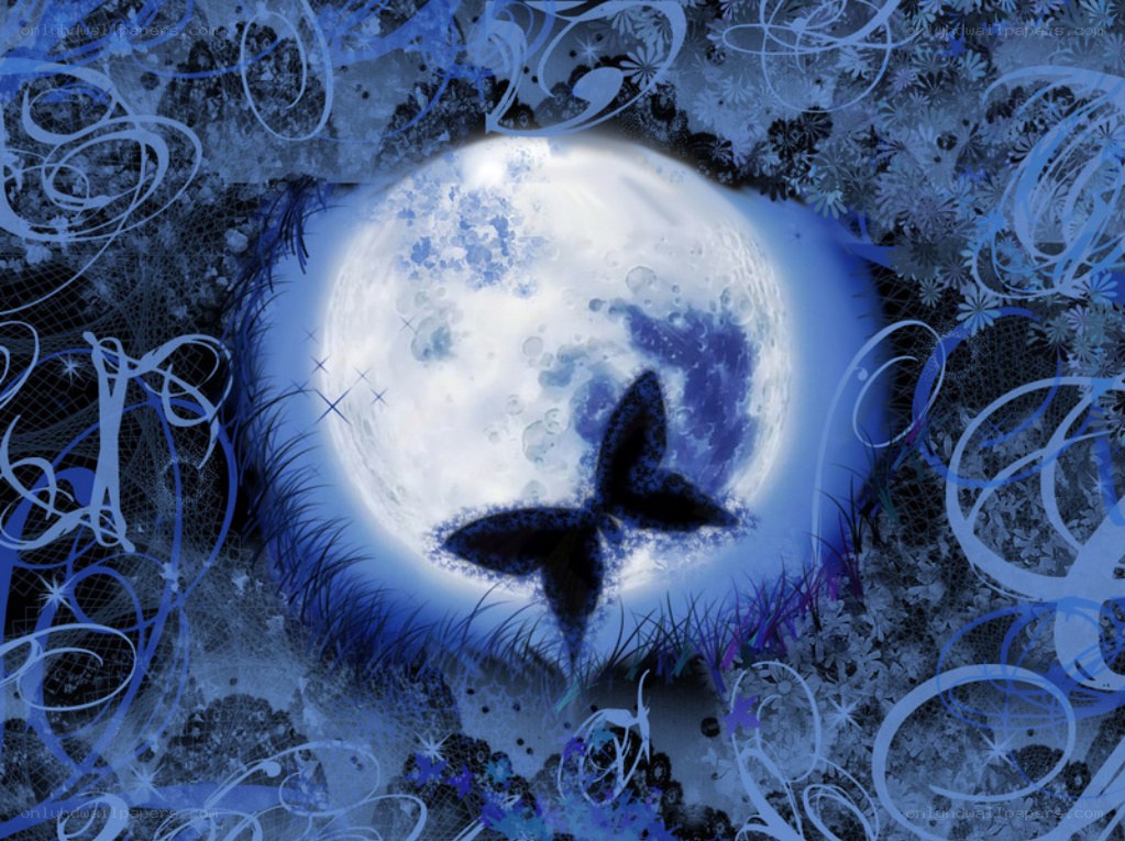 moon and butterfly art
