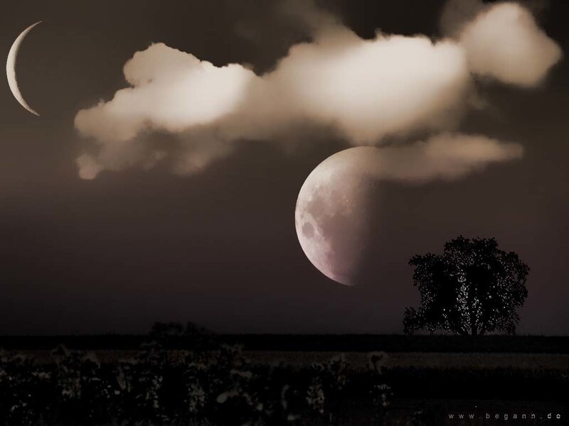 Moon and crescent over a tree