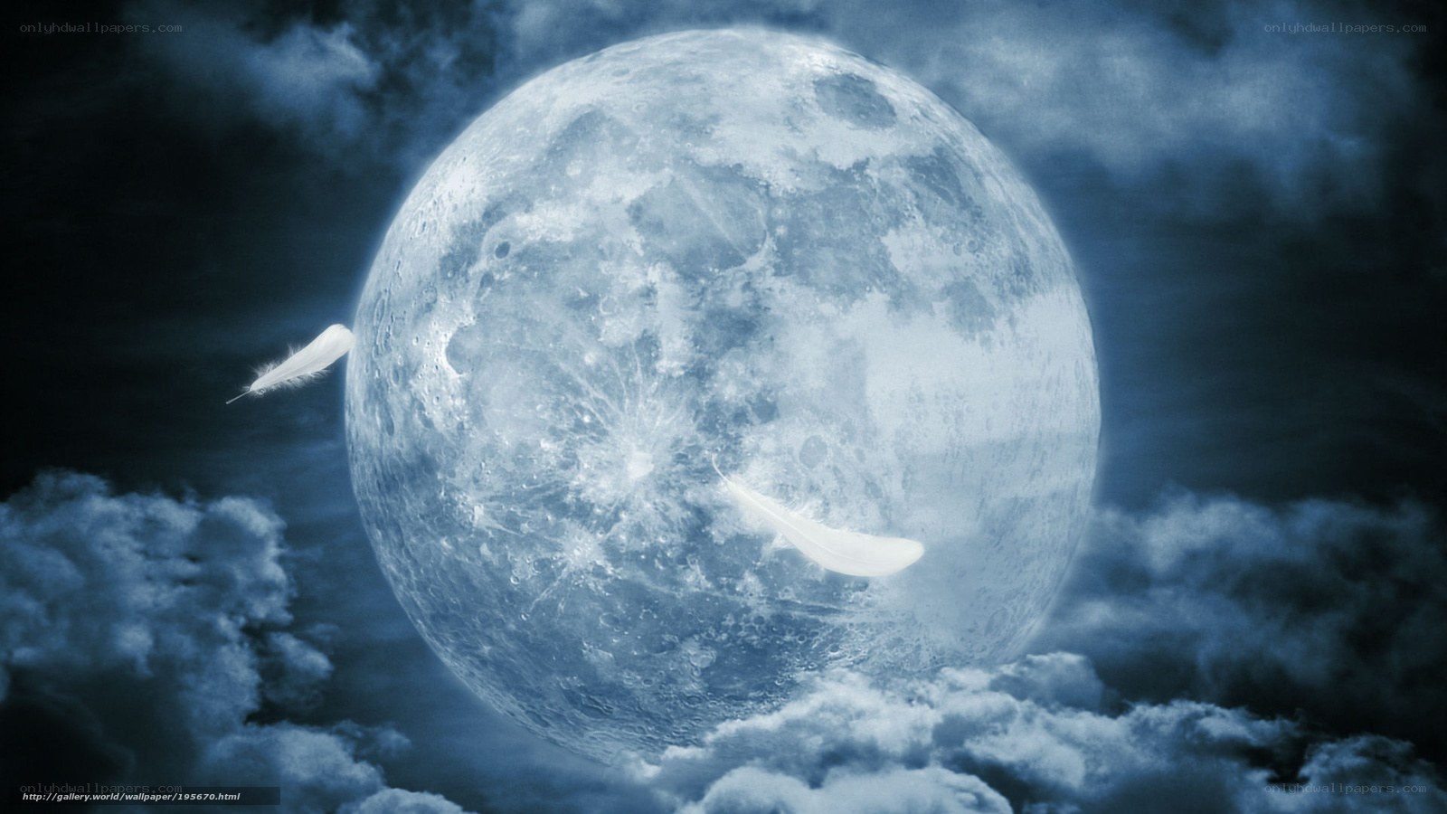 Moon and feathers in night sky