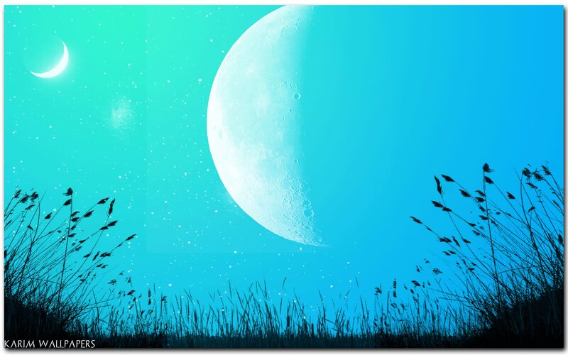 Moon and Grass Silhouette