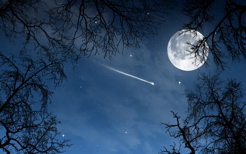 Moon and meteor over bare trees