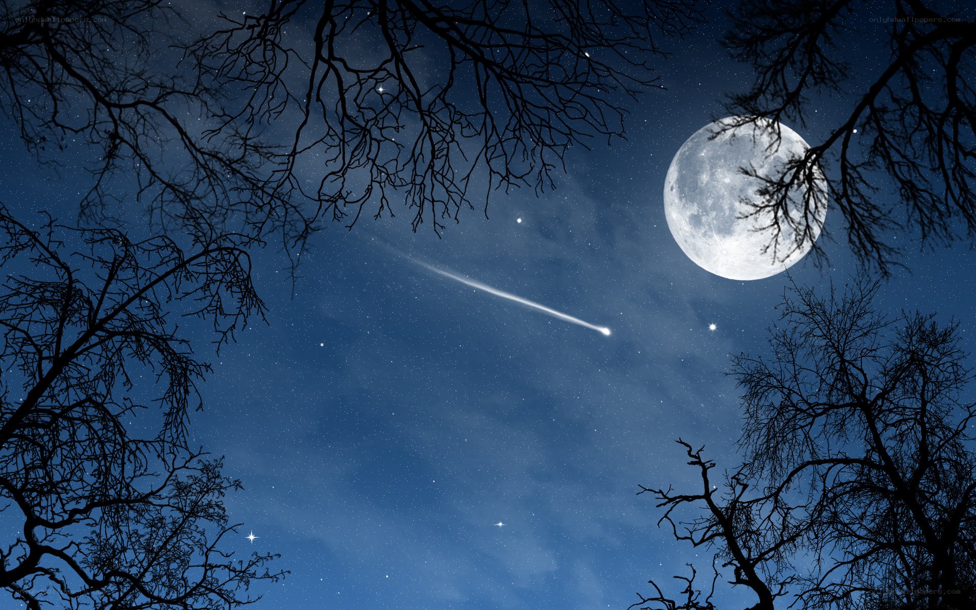 Moon and meteor over bare trees