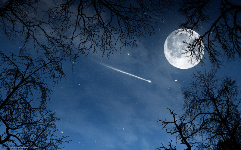 Moon and meteor over bare trees