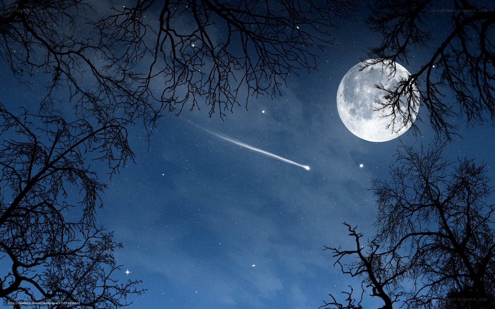 Moon and meteor over bare trees