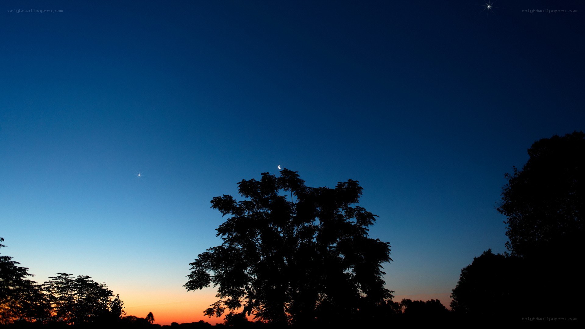 Moon and stars at dusk