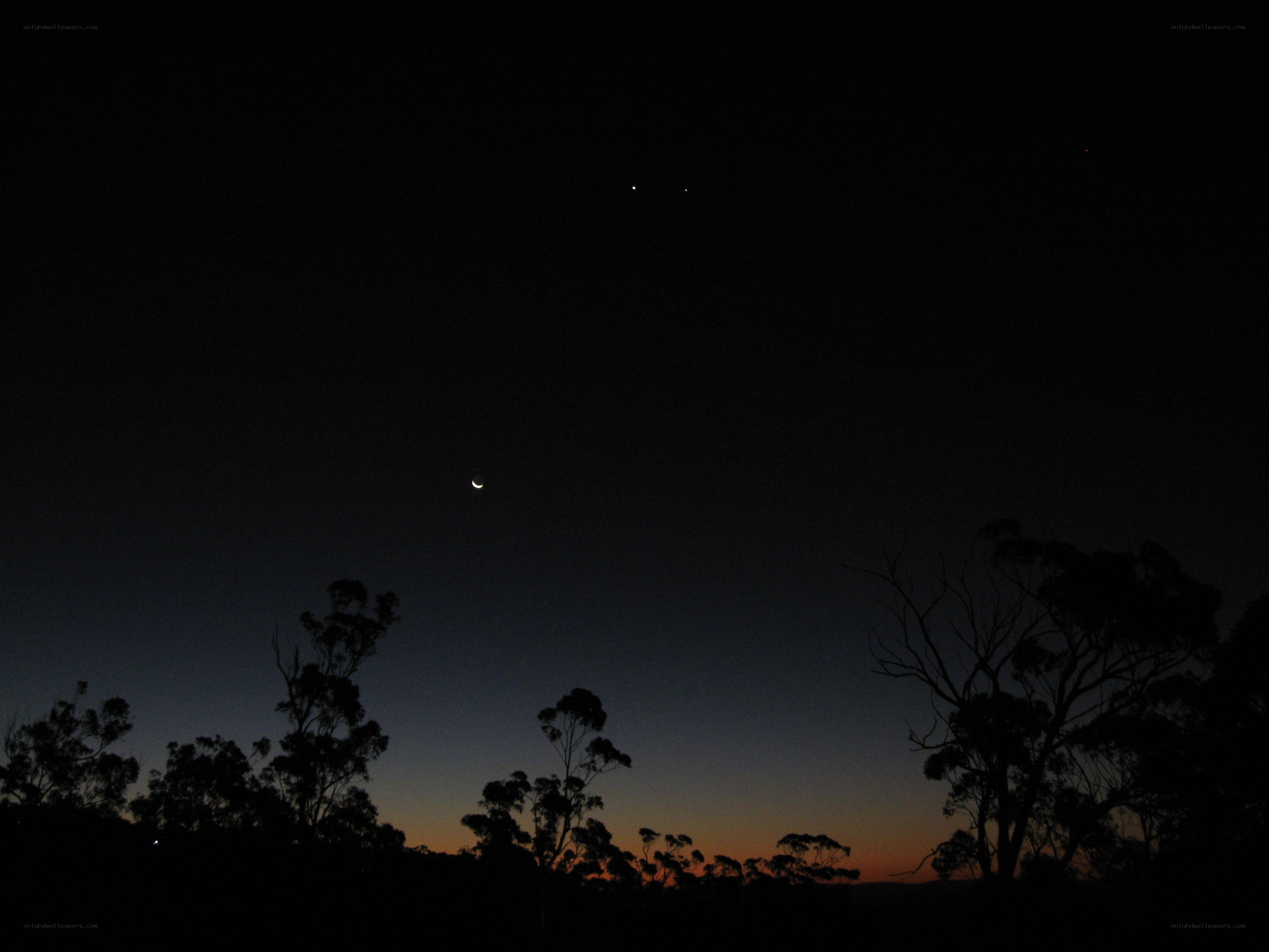 Moon and stars at dusk