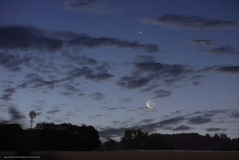 Moon and stars over a field