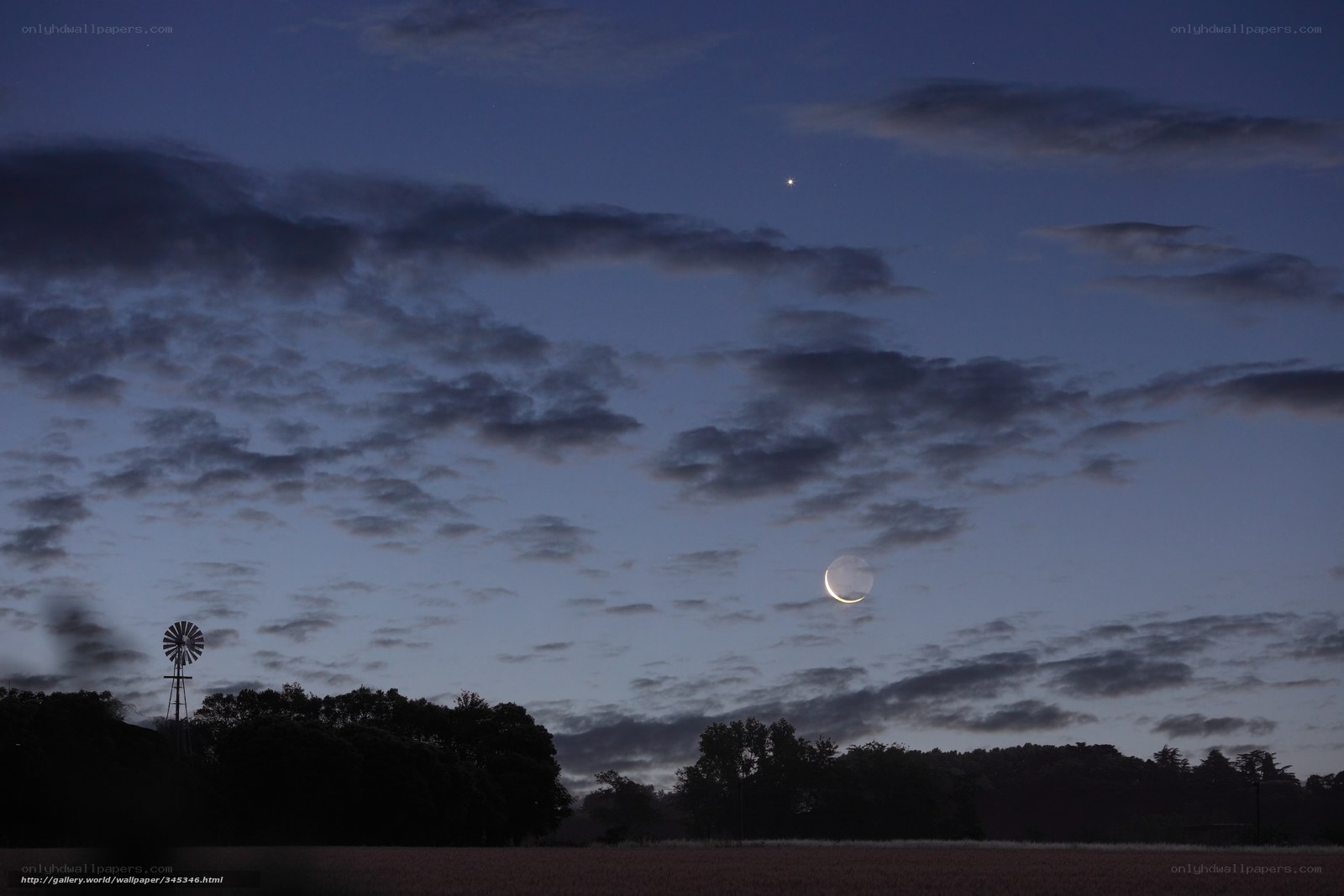 Moon and stars over a field