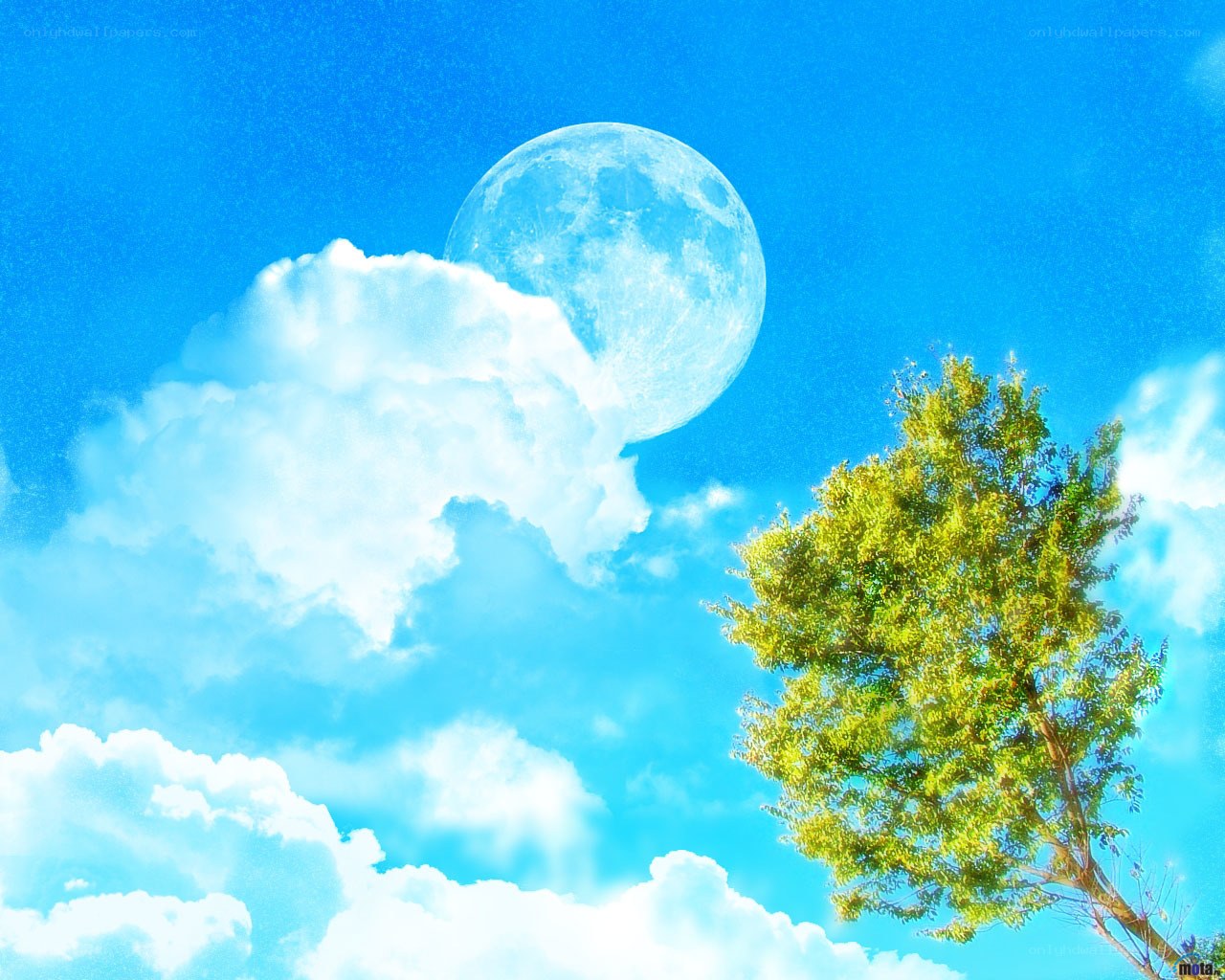 Moon and tree in blue sky