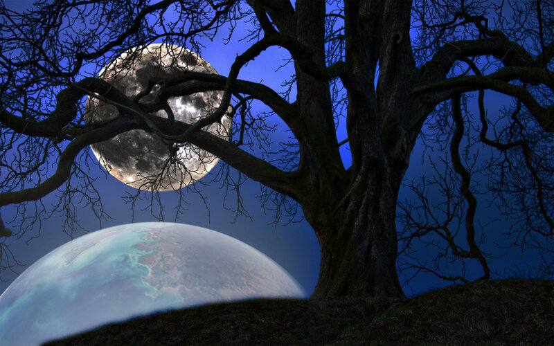 Moon behind a bare tree