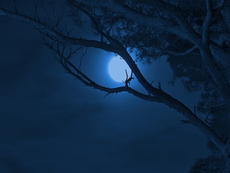 Moon Behind Tree Branches — Blue