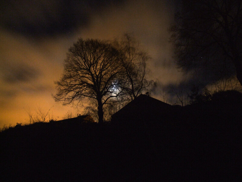Moon Behind Tree