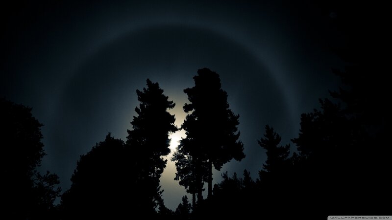 moon halo over silhouetted trees