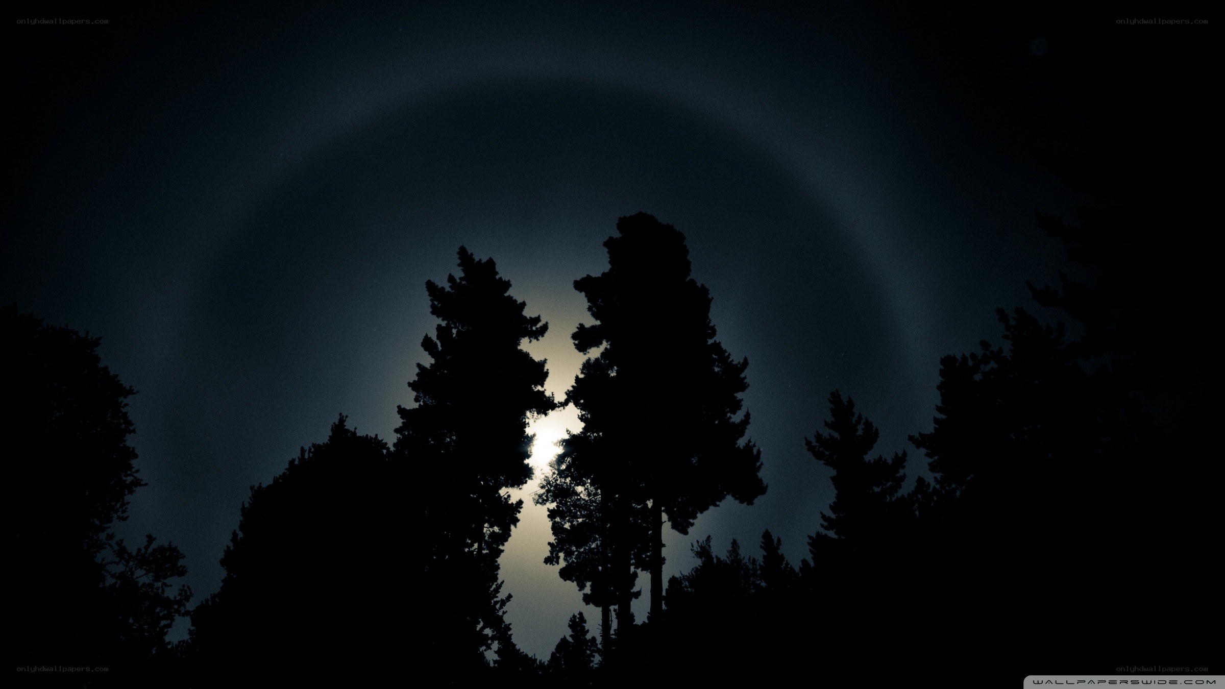 moon halo over silhouetted trees