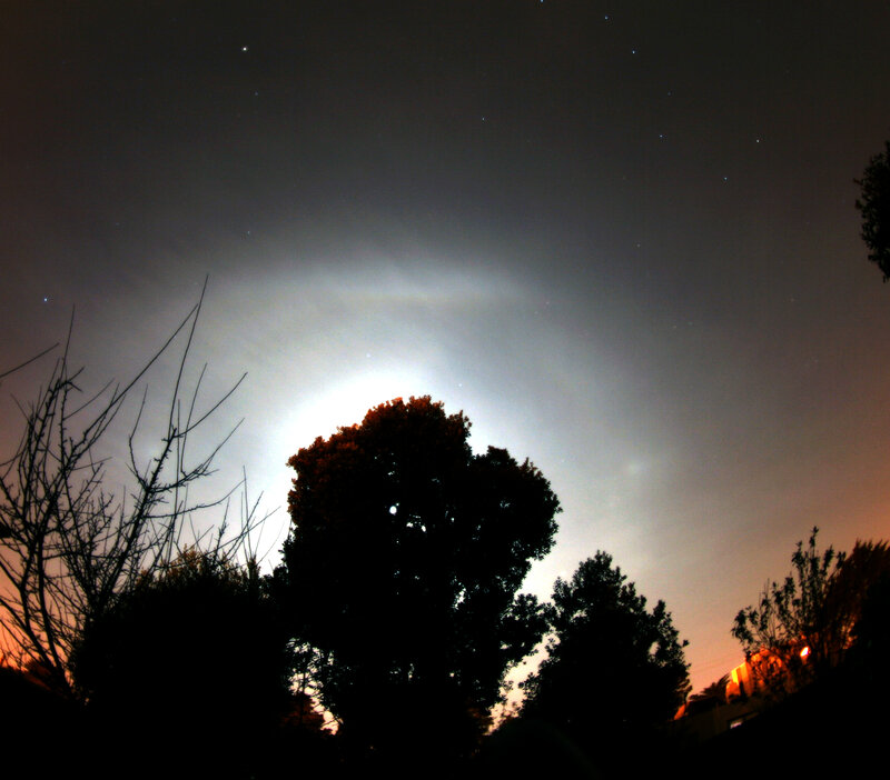 Moon halo over trees