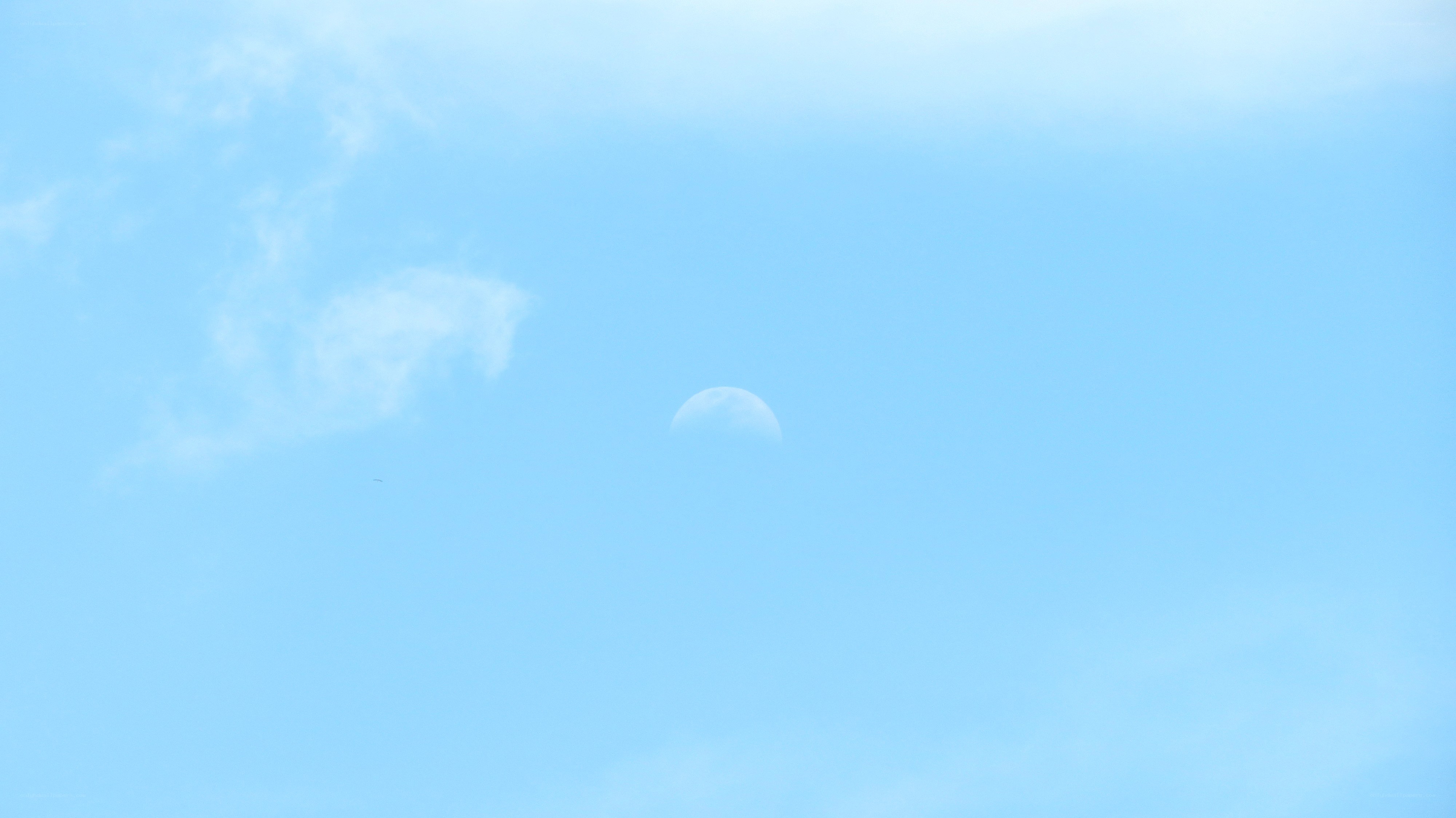 Moon in a blue sky